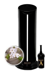Akscent Nergis Oda Kokusu 135 ml