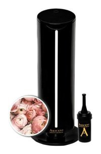 Akscent Chloe Ok Oda Kokusu 135 ml
