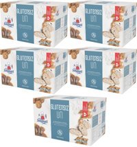 Sinangil Glutensiz Un 5x5 kg