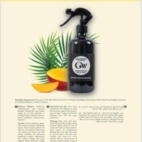 Green World Mango Oda Kokusu 500 ml