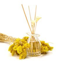 Trilya Çubuklu Mimoza Oda Kokusu 100 ml