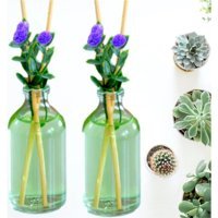 Junibeliw Mango Oda Kokusu 2x50 ml