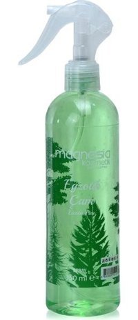 Magnesia Çam Oda Kokusu 350 ml