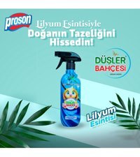 Proson Düşler Bahçesi Lilyum Oda Kokusu 450 ml