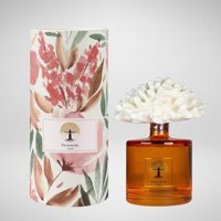 Pachamama Ateiler Taşlı Kumkuat Kumkuat Oda Kokusu 500 ml