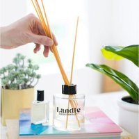 Landle Çubuklu Elma Oda Kokusu 120 ml