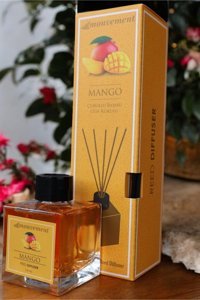 Mouvement Çubuklu Egzotik-Mango Oda Kokusu 100 ml