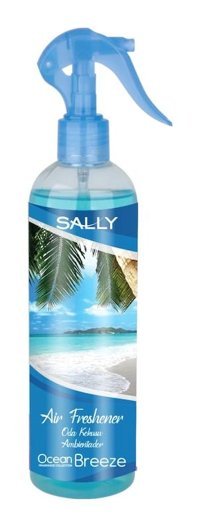 Sally Okyanus Esintisi Oda Kokusu 400 ml
