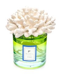 Missi Home Mercan Seramik Taşlı Ice Flowers Ice Flowers Oda Kokusu 500 ml