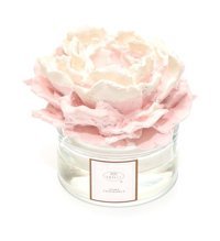 Mumevi PEMBE ÇİÇEK TAŞLI Gül-Pudra Oda Kokusu 150 ml