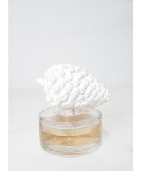Missi Home Kozalak Taşlı Portakal Oda Kokusu 150 ml