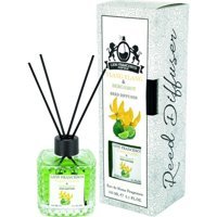 Lion Francesco Perfume Bergamot Oda Kokusu 150 ml