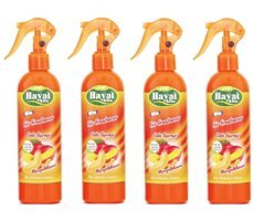 Hayat Kavun-Mango Oda Kokusu 4x350 ml