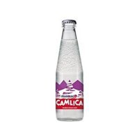 Çamlıca Frambuazlı Gazoz 200 ml