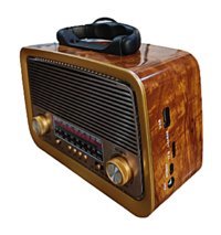 Gaman RT-301 5 W Radyolu Işıklı Kahverengi Bluetooth Hoparlör