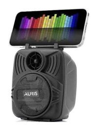 Auris ARS-SP21 Radyolu Siyah Bluetooth Hoparlör