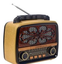 Everton RT-553 5 W Radyolu Sarı Bluetooth Hoparlör