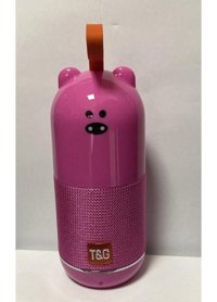T&G TG502 5 W Pembe Bluetooth Hoparlör