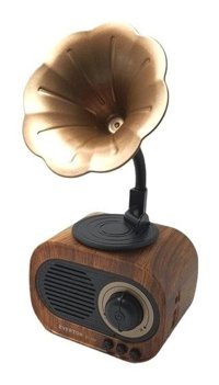 Everton RT-707 5 W Radyolu Kahverengi Bluetooth Hoparlör