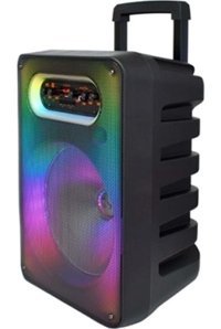 Polygold GTS-1593 Işıklı Siyah Bluetooth Hoparlör