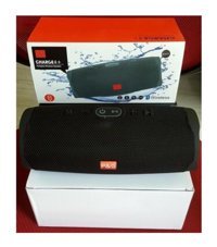 Polygold Charge 4 20 W Siyah Bluetooth Hoparlör