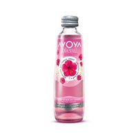 Avoya Blend Hibiskus Maden Suyu 250 ml