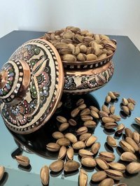Kandiva Ana Çıtlak Kabuklu Kavrulmuş Taze Gaziantep Yöresi Tane Antep Fıstığı 250 gr