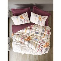 Cotton Box Pamuk 200x220 cm Çarşaflı Tek Kişilik Nevresim Takımı Bordo