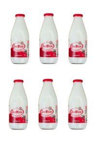 Özerhisar 6x1 lt Ayran