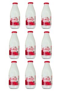 Özerhisar 9x1 lt Ayran