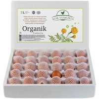 Kor 60'lı Organik Tavuk Yumurta
