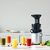 Hurom H101 Slowjuicer 150 W 350 ml Gri Katı Meyve Sıkacağı