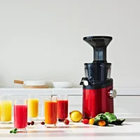 Hurom H101 Slowjuicer 150 W 350 ml Kırmızı Katı Meyve Sıkacağı