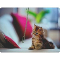 WuW Yavru Kedi 22x18 cm S Mousepad Çok Renkli