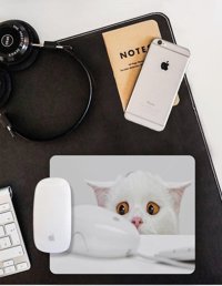 WuW Mouse Hunter Cat 22x18 cm S Mousepad Beyaz