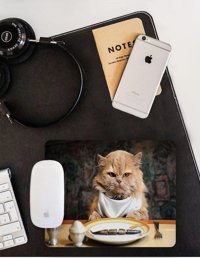 WuW Asabi Kedi 22x18 cm S Mousepad Çok Renkli