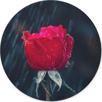 WuW Gül Yuvarlak 20 cm S Mousepad Kırmızı-Yeşil
