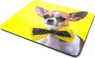 WuW Chihuahua Papyonlu Köpek 22x18 cm S Mousepad Çok Renkli