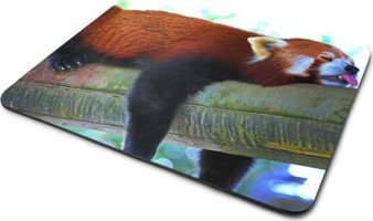 WuW Kırmızı Panda 22x18 cm S Mousepad Çok Renkli