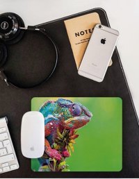 WuW Bukalemun 22x18 cm S Mousepad Çok Renkli