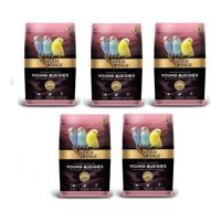 Gold Wings Kabuklu Karışık Vitaminli Yavru Muhabbet Kuşu Yemi 6x1 kg