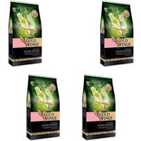 Gold Wings Yavru Muhabbet Kuşu Yemi 4x1 kg