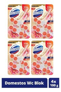 Domestos Yıldız Çiçeği & Ejder Meyvesi Tuvalet Temizleyici 4x100 gr