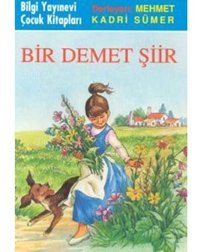 Bİr Demet Şiir - Mehmet Kadri Sümer - Bilgi Yayınevi