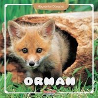 Hayvanlar Dünyası - Orman- Yumurcak Yayınları