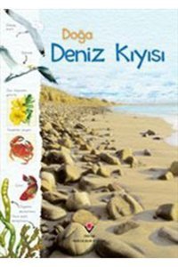 Tübitak Yayınları Doğa: Deniz Kıyısı Conrad Mason - Conrad Mason,sarah Courtauld