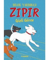 Zıpır Gizli Görev - Dilek Yardımcı - Tudem Yayınları