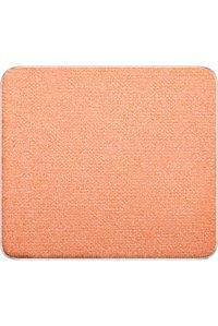 Inglot Freedom System 453 Toz Stick Far Beyaz