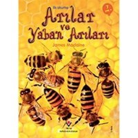 İlk Okuma - Arılar ve Yaban Arıları - James Maclaine - Tübitak Yayınları