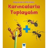 Karıncalarla Toplayalım-Hayvanlarla Etkinlikler - Tracey Steffora - Mavi Kelebek